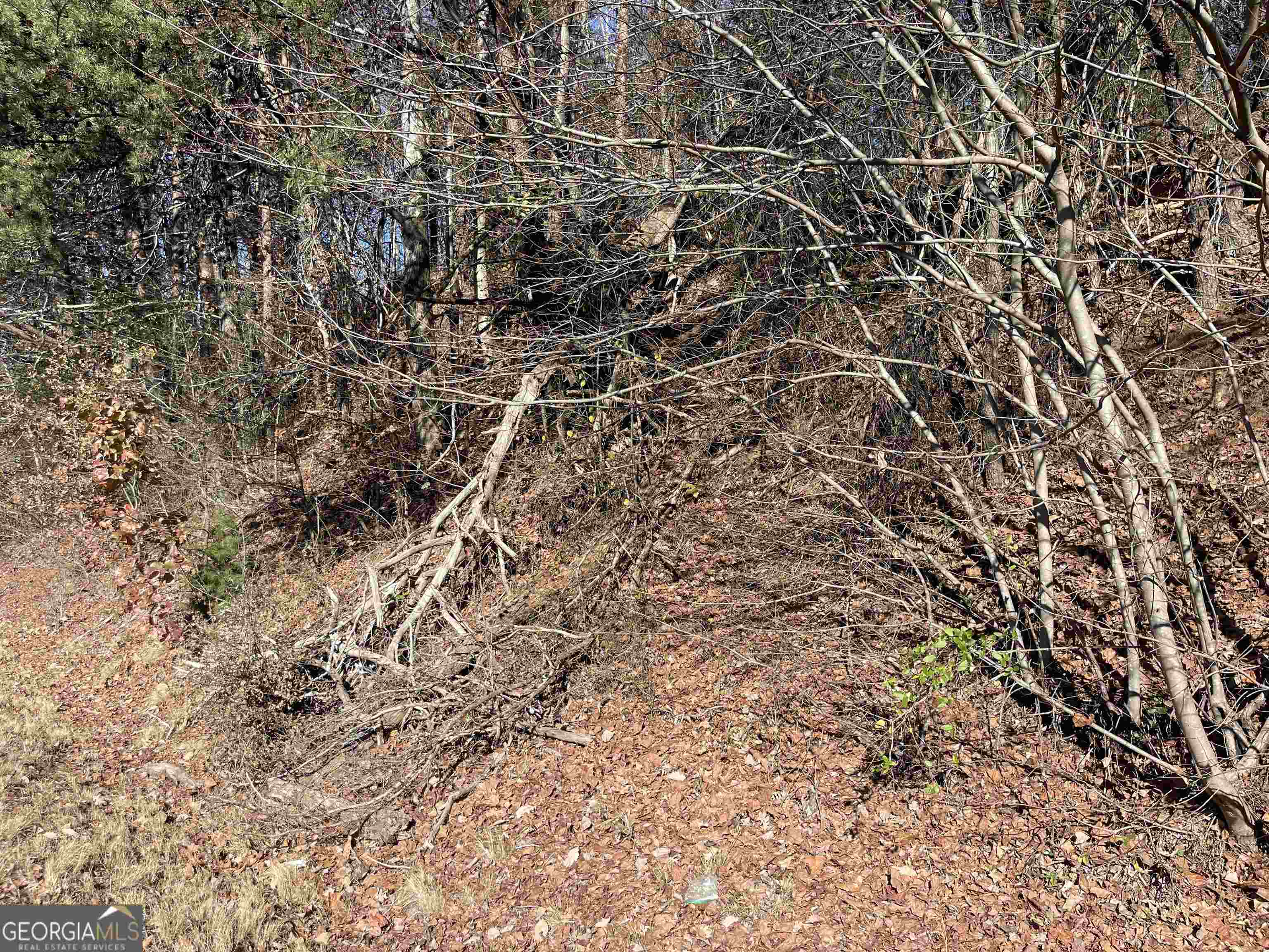 Potential Commercial!! Beautiful land ready to build your dream home or estate. 3.16 acres with a Rough driveway already cut in. Canton Highway Road Frontage, and 5 minutes away from City of Cumming and the new City Center! Combine with adjoining lot for a total of 7+ acres. Motivated seller. Bring all offers. Recent independent appraisal was over $130K per acre.