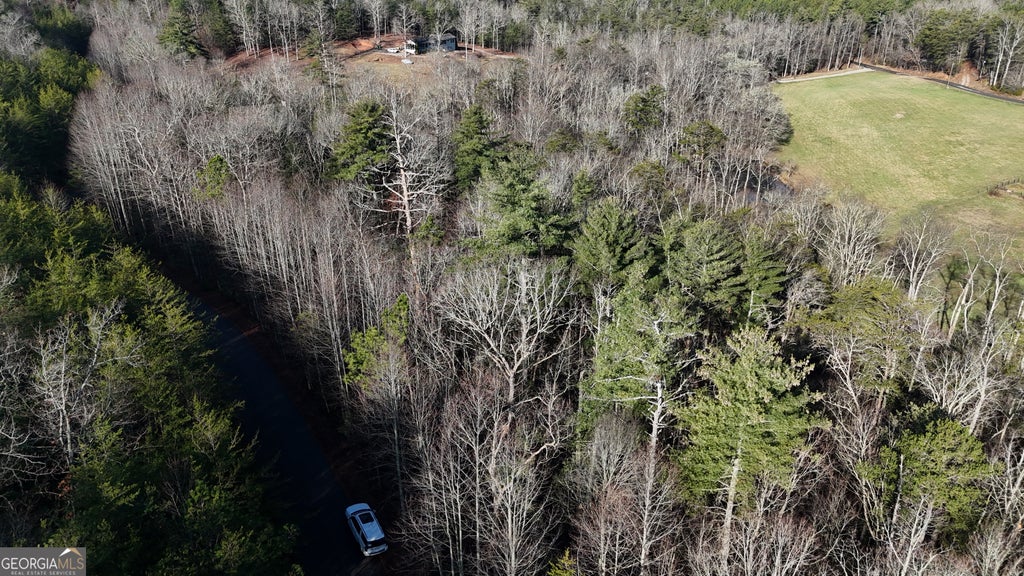 Photo of 10 Gold Ditch Road, Cleveland, GA 30528 (MLS # 10828405)