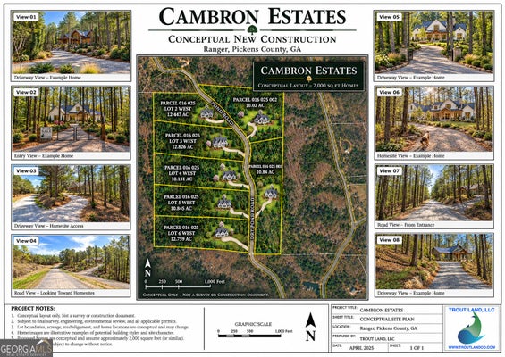 1 DRY POND RD LOT, RANGER, GA 30734 - Image 9ce0cbb0f29aa56471fa7ca191b7b695/3879324547