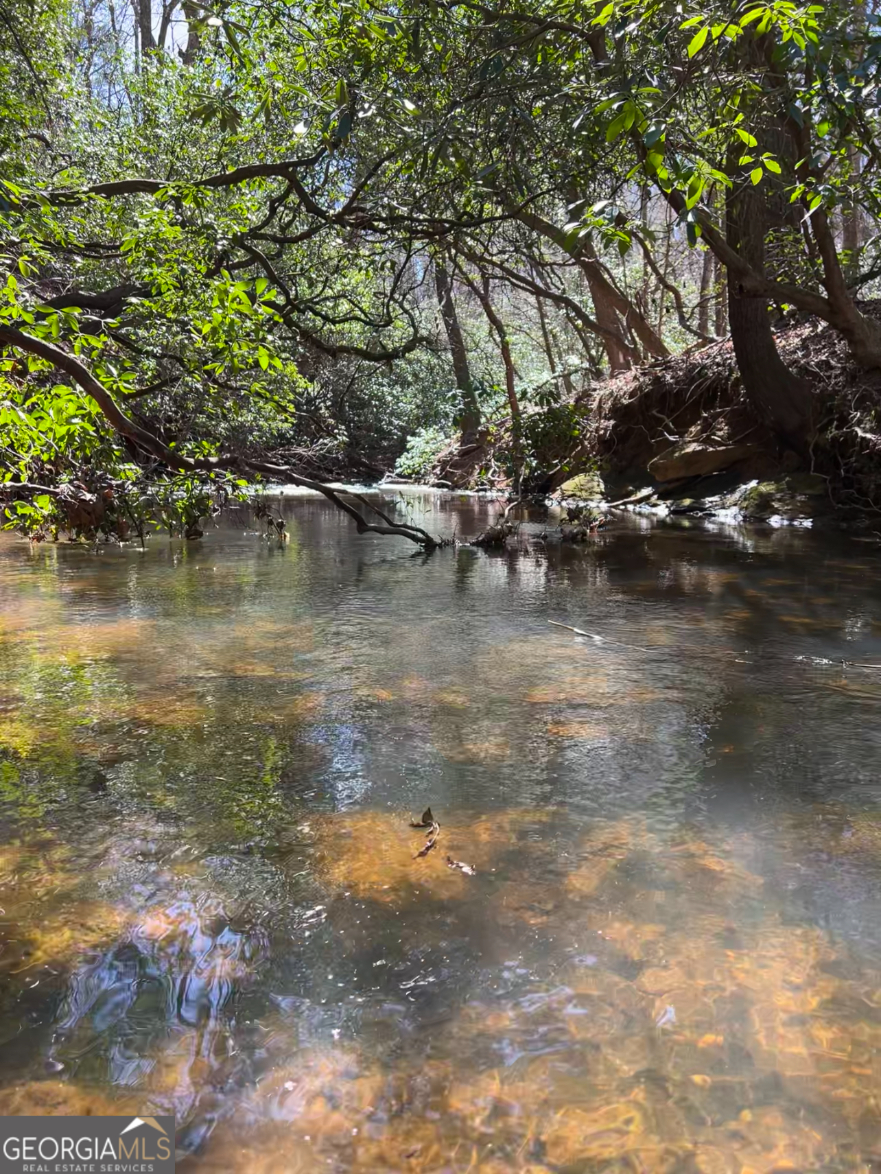 Embrace the serene beauty of North Georgia with this exceptional 1.75 acre residential building lot in Jenny's Cove. Nestled along the picturesque Jenny's Creek with an impressive 296 feet of creek frontage, enjoy the soothing sounds of a year-round, fast-flowing creek, which runs through this picturesque property. This is the perfect blend of convenience and seclusion, with close proximity to Cleveland, Helen and Dahlonega. Bring your own floor plans or collaborate with our local & trusted custom home builder Red Setter Homes to design your dream home. Construction financing is also available, making it easier than ever to turn your vision into reality. Situated amidst mature Mountain Laurel, Rhododendron, Hemlock, and Hickory trees, this lot provides a peaceful retreat surrounded by nature's splendor. This property is also a natural habitat for deer and turkey, offering an opportunity to witness these creatures in their element. This lot's gently sloped terrain offers the perfect canvas for your vision. Whether you envision a cozy weekend retreat or a full-time residence, this lot allows for a cabin with a basement and the potential for awe-inspiring views. Don't miss this opportunity to create your own private oasis in one of North Georgia's most desirable locations. Schedule a showing today and start planning your future in Jenny's Cove! Please note Creekside Dr is a private road. Additional lot located at 3B Beachwood Dr & shared well parcel are available. Ask about owner financing options and packaged deal for all 3 parcels.