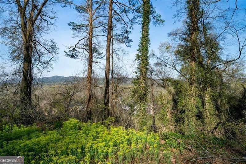 Mountaintop property with a view!! Minutes to downtown Rome - right off Broad Street. Great location!! Investor opportunity or build your dream home! So close to everything downtown Rome has to offer, restaurants, shopping, hospitals, Shorter College, Berry College, & Coosa River! Also selling two adjacent lots - 111 & 113 Lookout Cir. Can be sold alone or together. Currently Zoned Community Commercial. Seller has applied for re-zoning to single family residential.
