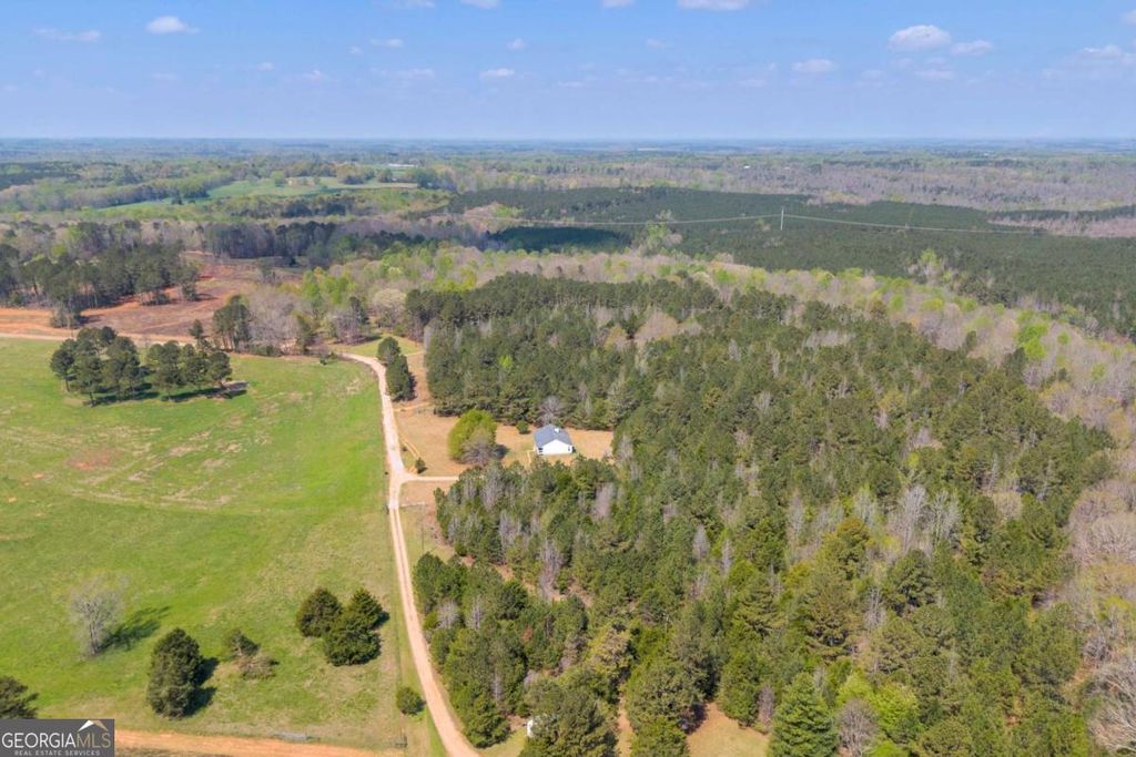 Photo of 253 Old Sanders Farm Road, Crawford, GA 30630 (MLS # 10738379)