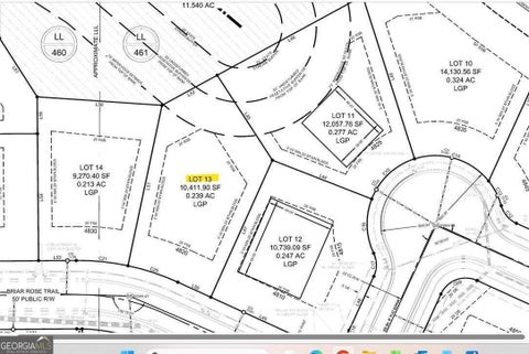 Photo of 4820 Briar Rose Trail, Cumming, GA 30040 (MLS # 10806495)