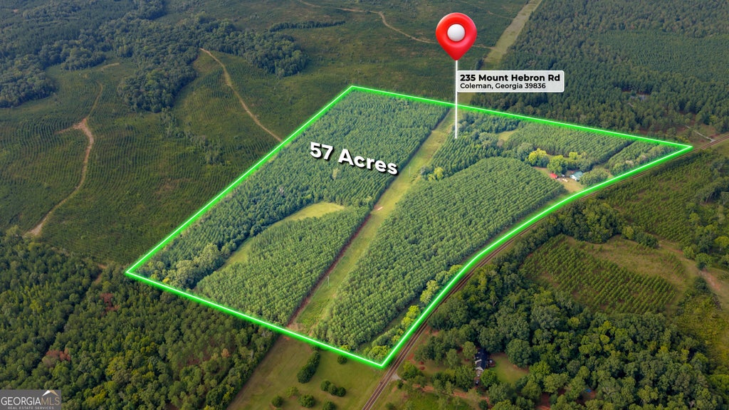 Photo of 235 Mount Hebron Road, Coleman, GA 39836 (MLS # 10830262)