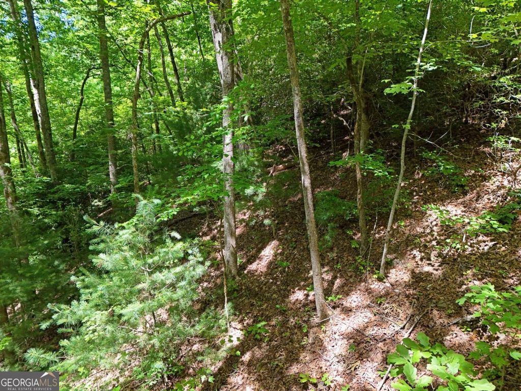 Photo of 12 Hightower Ridge, Hiawassee, GA 30546 (MLS # 10792137)