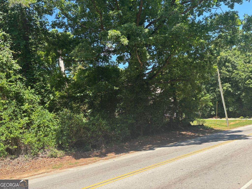 Photo of 1689 Peachcrest Road, Decatur, GA 30032 (MLS # 10767152)
