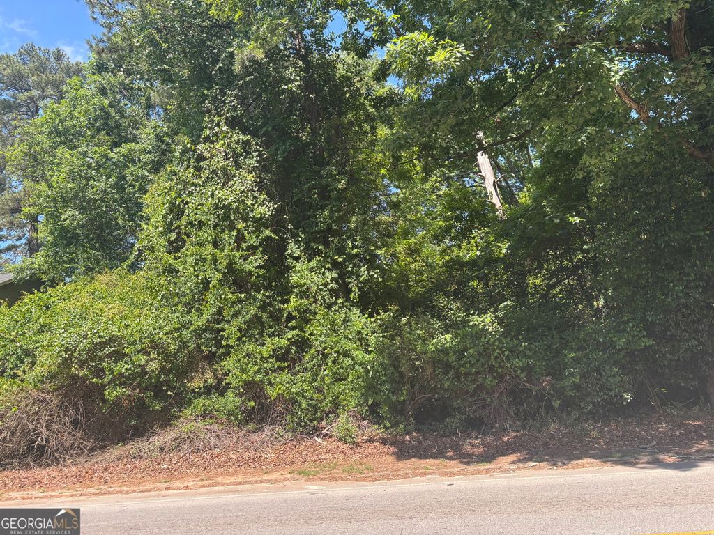 Photo of 1689 Peachcrest Road, Decatur, GA 30032 (MLS # 10767152)