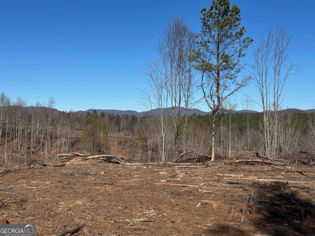 Photo of 475 Larmon Forks Rd, Dahlonega, GA 30533 (MLS # 10678385)