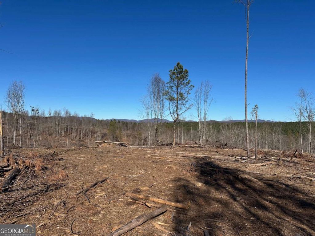 Photo of 475 Larmon Forks Rd, Dahlonega, GA 30533 (MLS # 10678385)