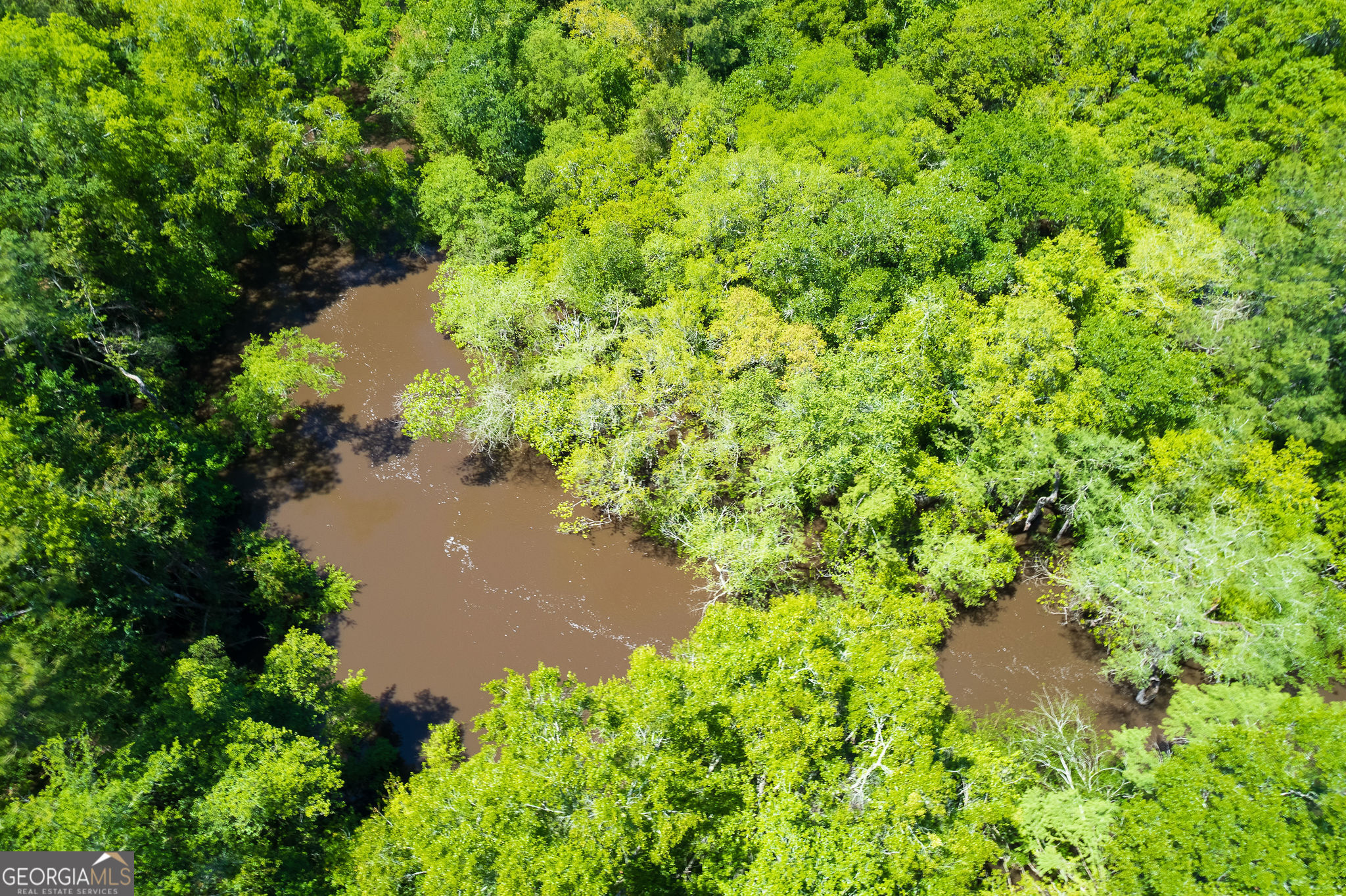 Valdosta, Georgia 31605, United States, 5 Bedrooms Bedrooms, ,7 BathroomsBathrooms,Residential,Active,59977