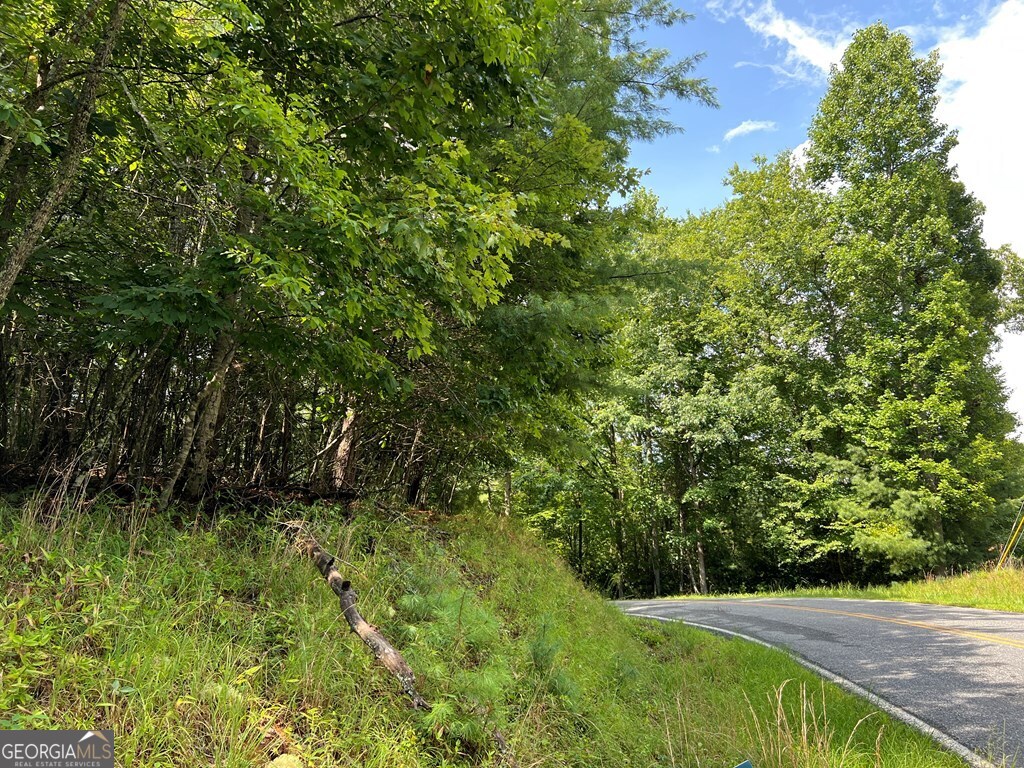 0 Pine Log Church Road