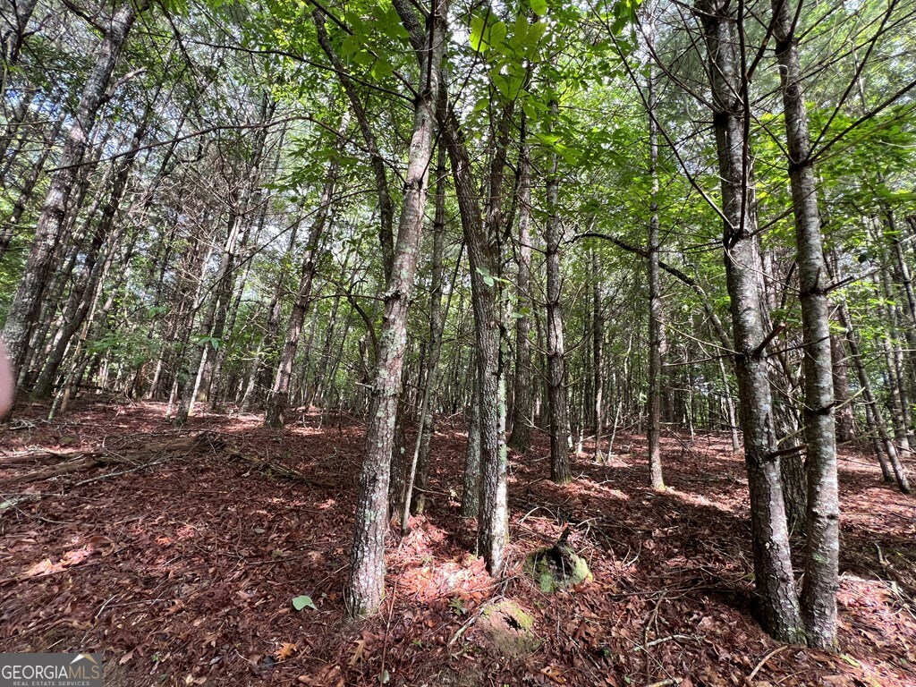 0 Pine Log Church Road