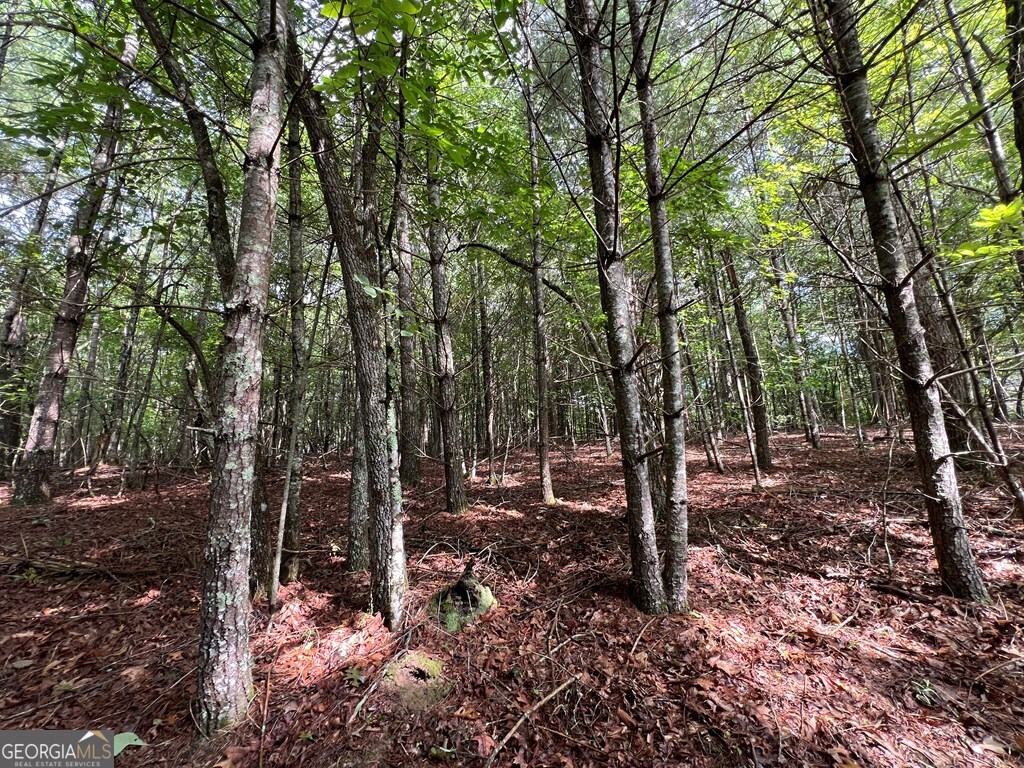 0 Pine Log Church Road