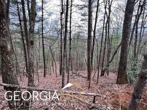 J273 Pine Ridge RD Ellijay GA 30536