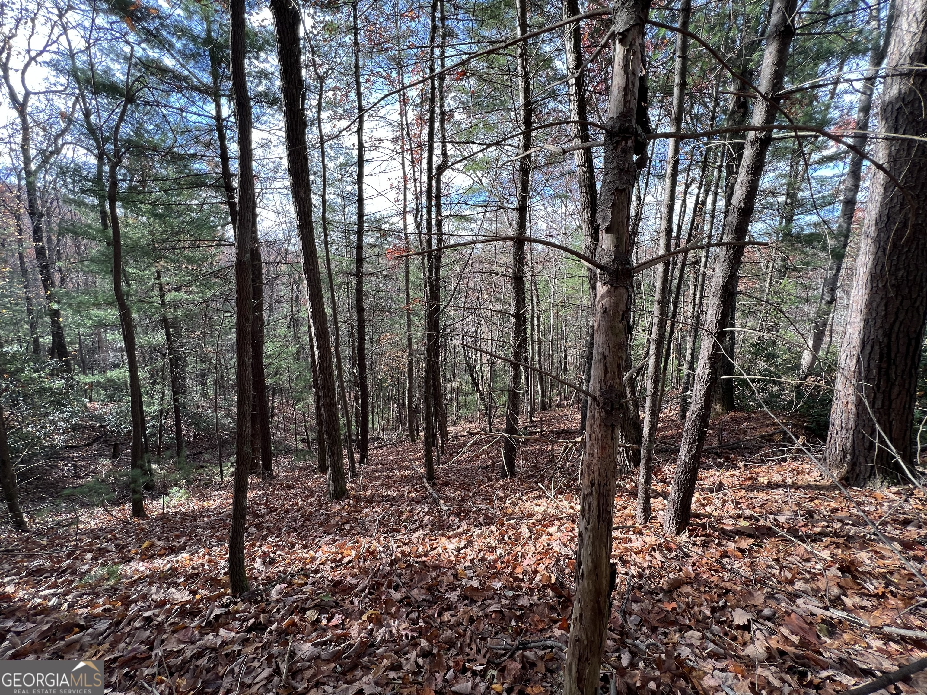 J273 Pine Ridge RD