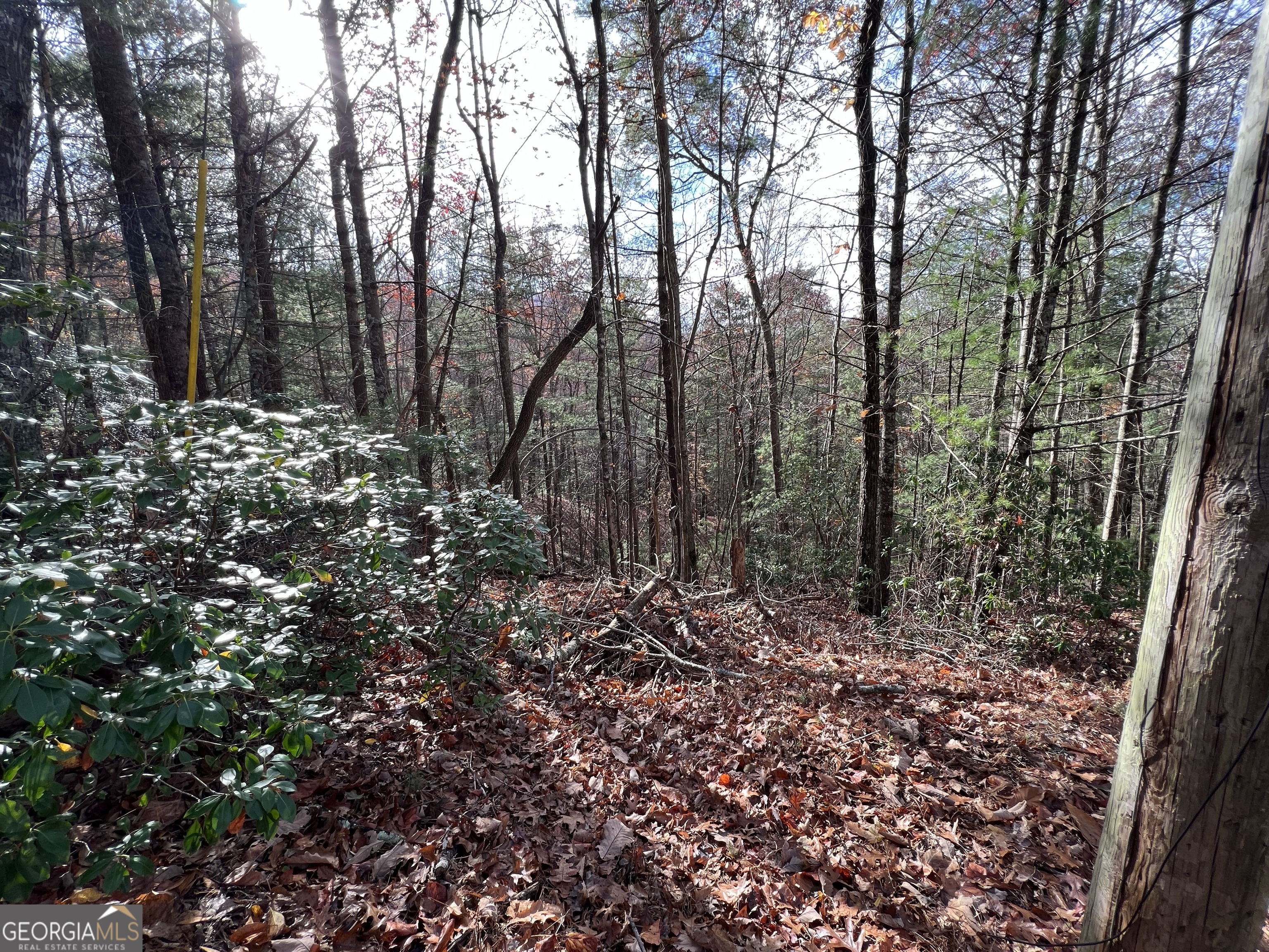 J273 Pine Ridge RD