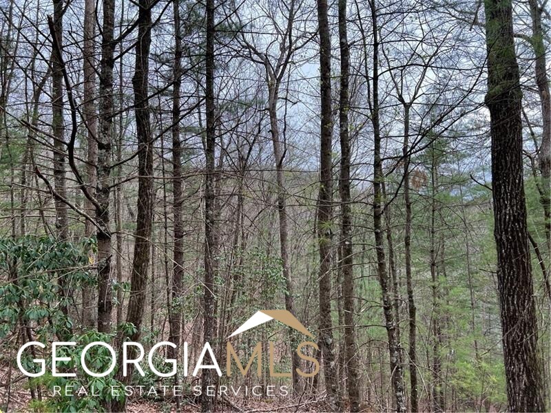 J273 Pine Ridge RD