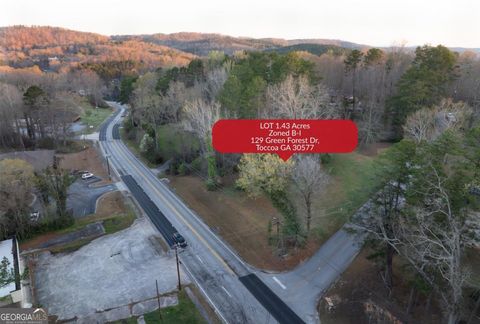 Photo of 129 Green Forest Drive, Toccoa, GA 30577 (MLS # 10711321)