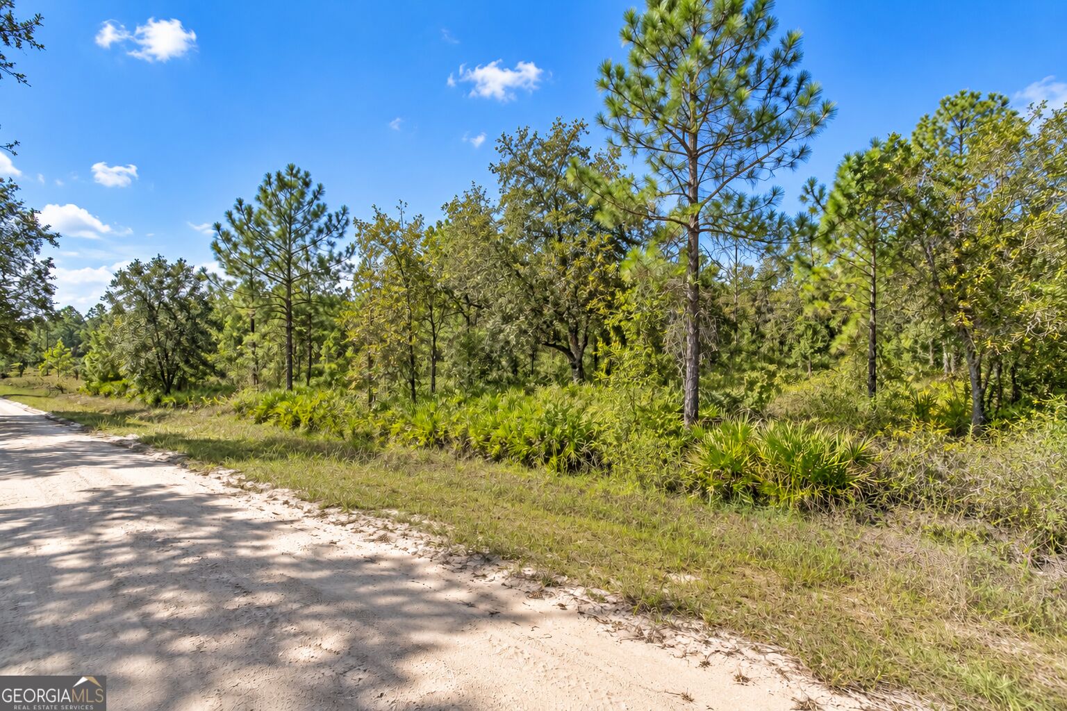 1.24 ACRES Sink Hole Road