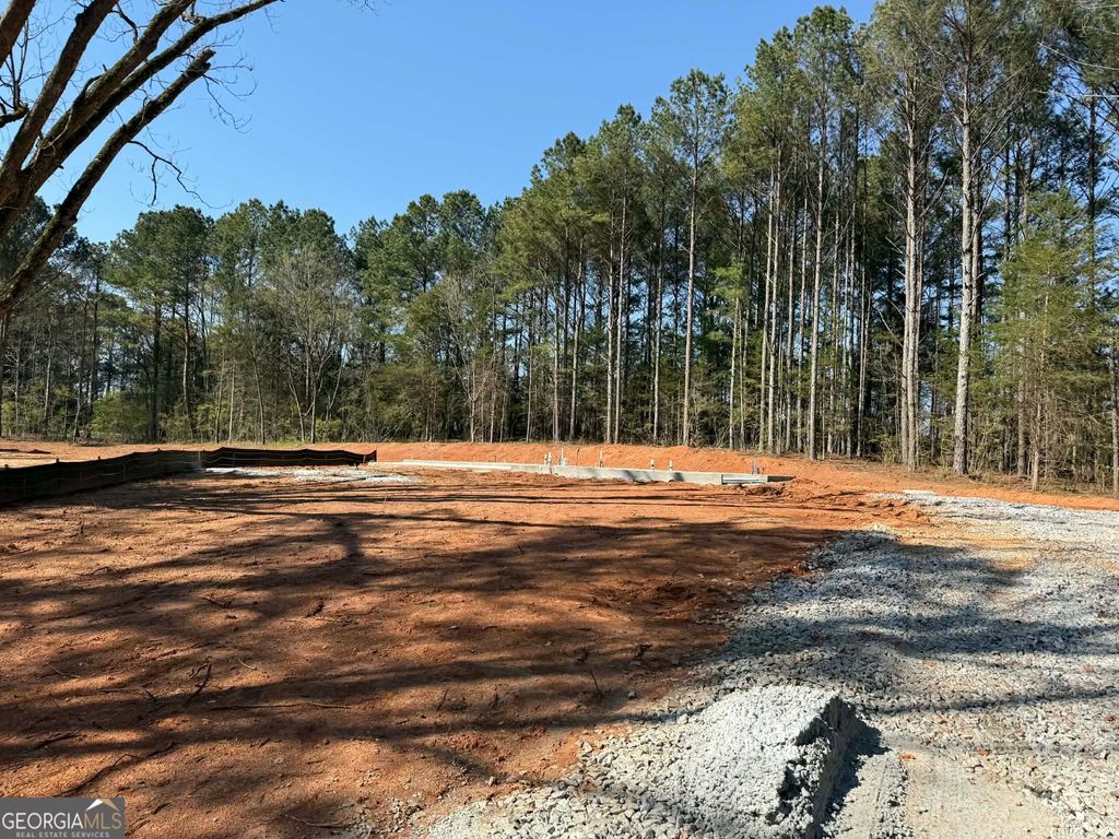 Photo of 383 Laney Road, McDonough, GA 30252 (MLS # 10714282)