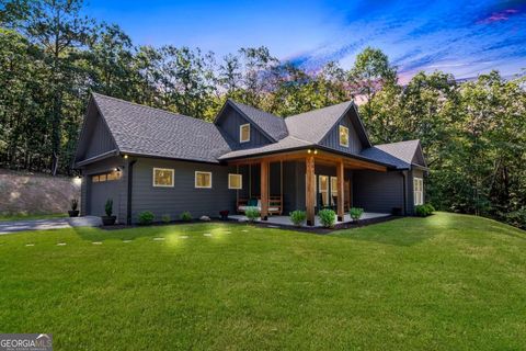 301 Willow Oak TRL Ellijay GA 30540