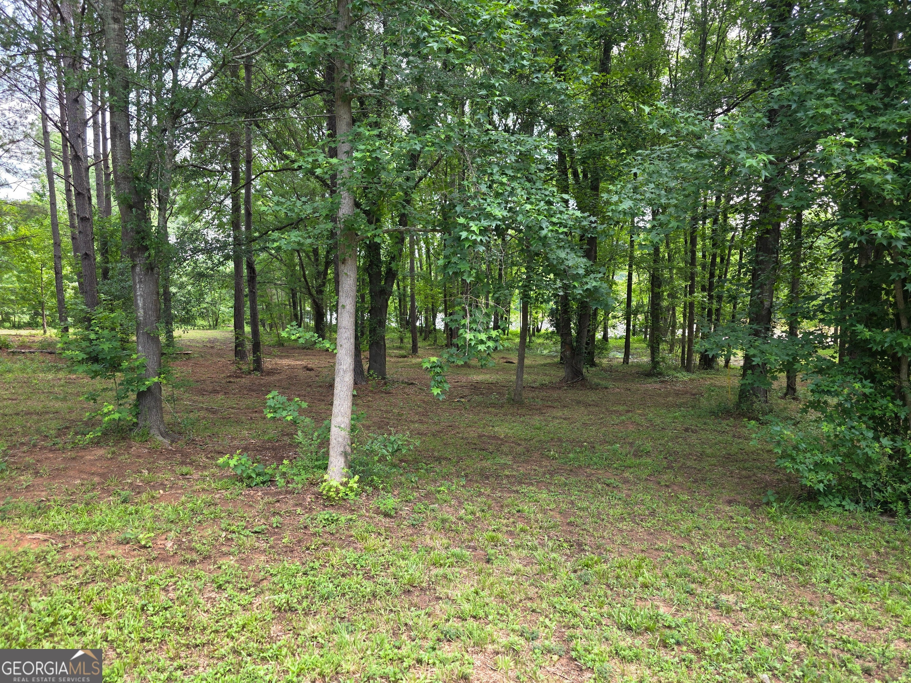 1071 Apalachee Shores CT