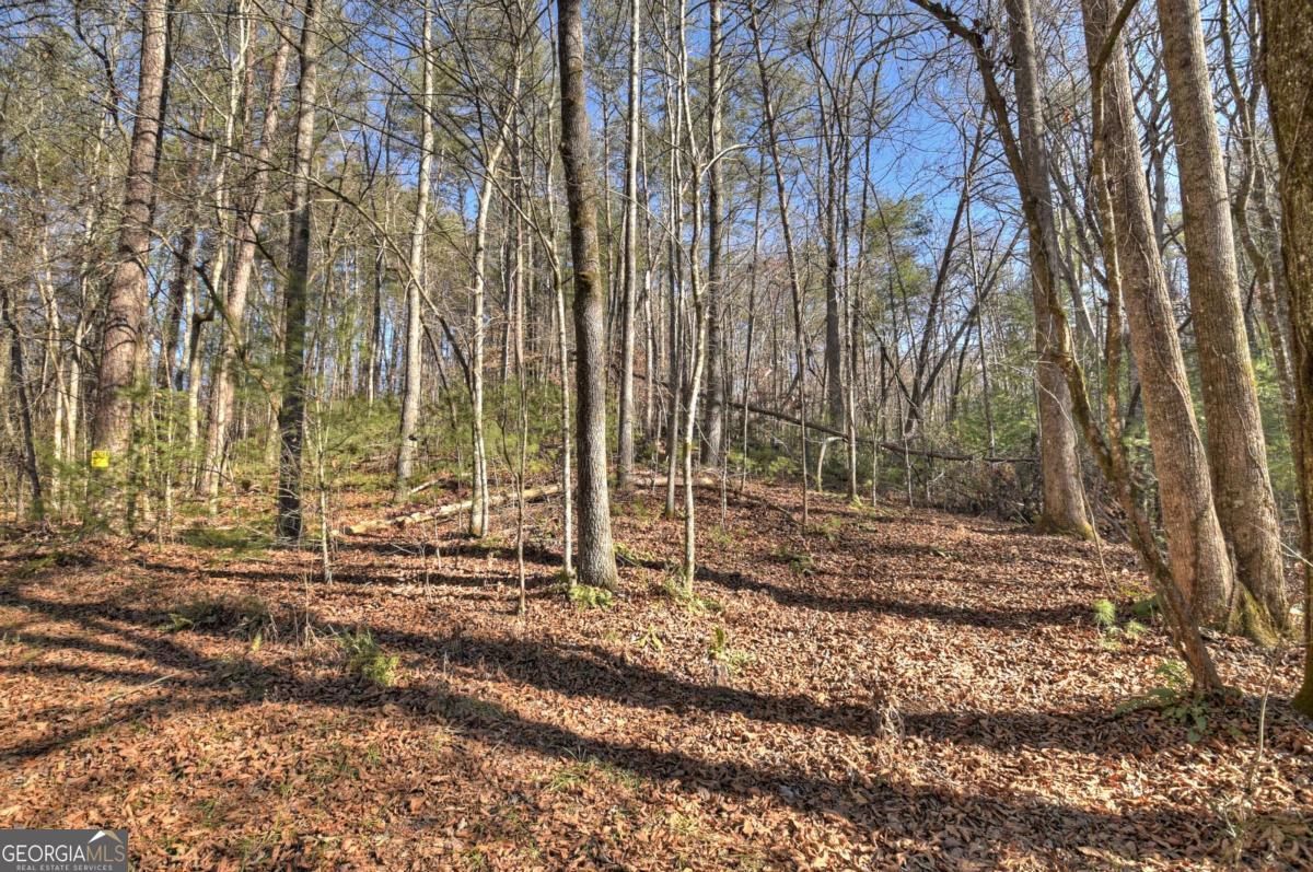 15.46 Dunn Mill Creek RD