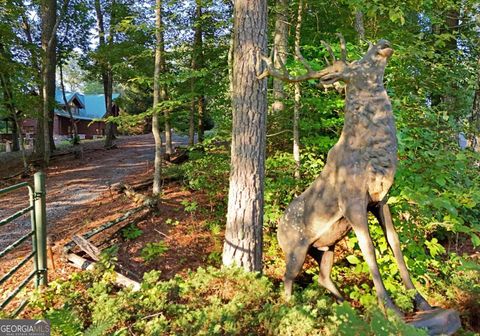 2682 Douthit RD Mineral Bluff GA 30559