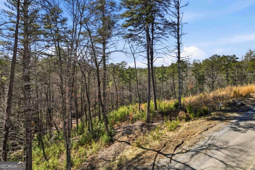 Photo of 0 Mountain Laurel, Mineral Bluff, GA 30559 (MLS # 10698439)