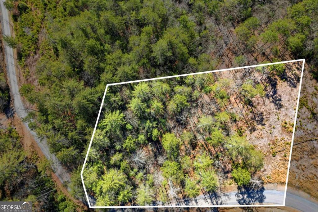Photo of 0 Mountain Laurel, Mineral Bluff, GA 30559 (MLS # 10698439)