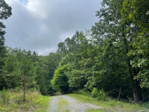 Photo of 880 Echo Drive NE, Ranger, GA 30734 (MLS # 10182486)