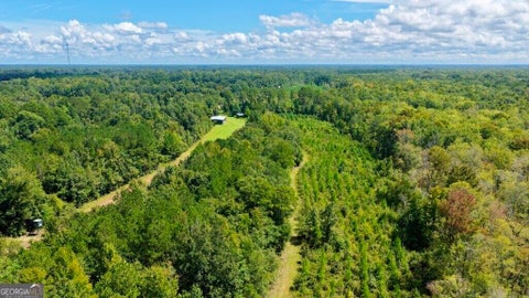 Photo of 0 Rogers Landing off S Herndon Road, Millen, GA 30442 (MLS # 10847002)