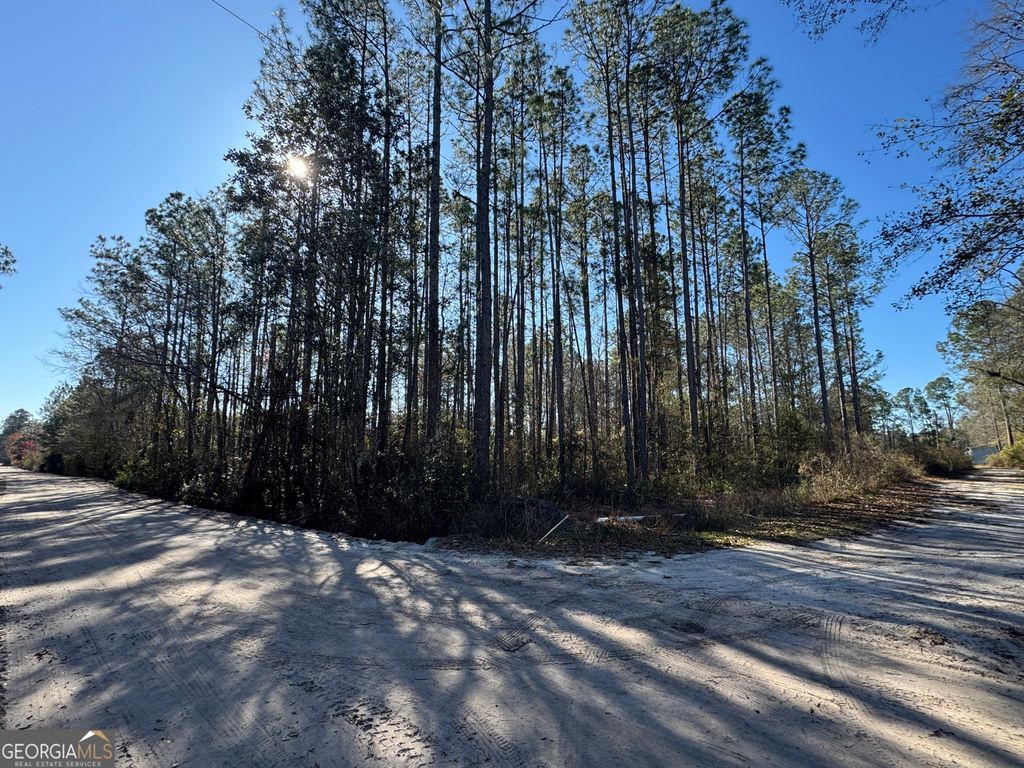 Photo of 0 Robin Lane, Nahunta, GA 31553 (MLS # 10699424)