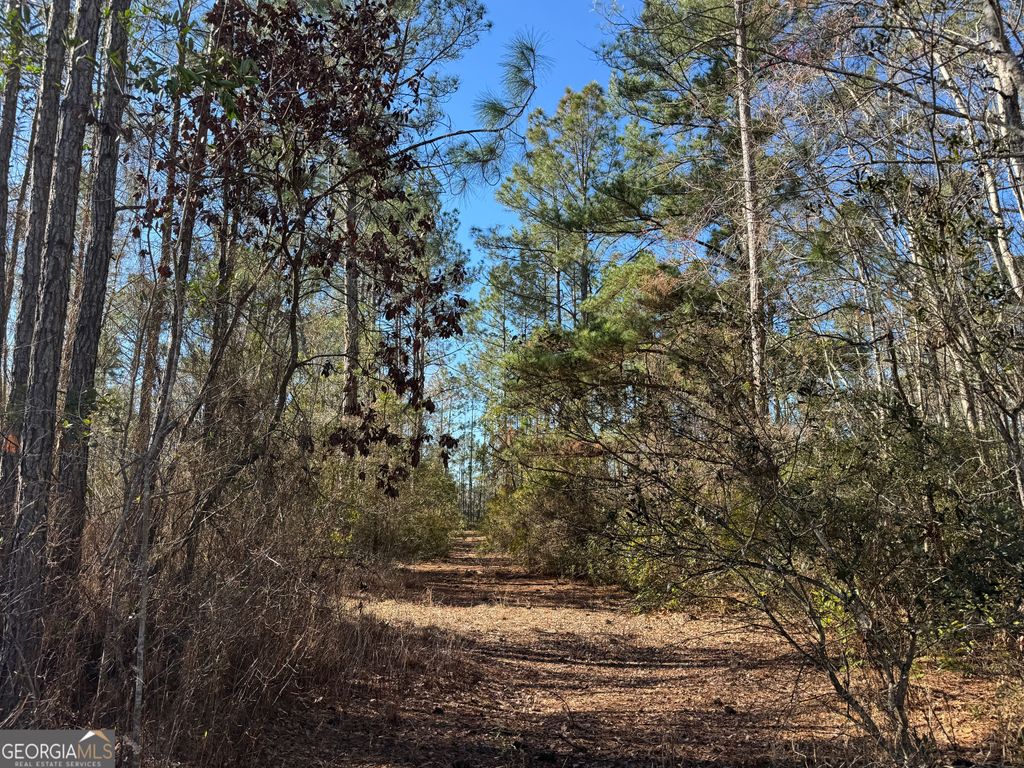 Photo of 0 Robin Lane, Nahunta, GA 31553 (MLS # 10699424)