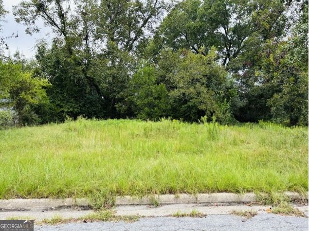 Photo of 1681 Hester Street, Augusta, GA 30904 (MLS # 10852401)