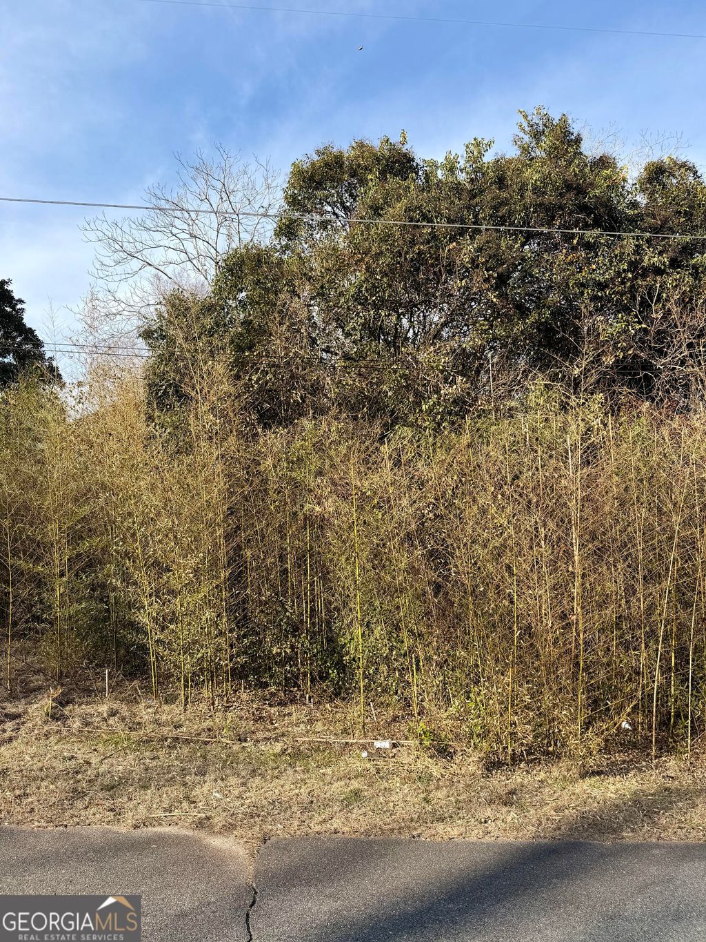 Photo of 402 Lydick Avenue, Warner Robins, GA 31093 (MLS # 10692145)