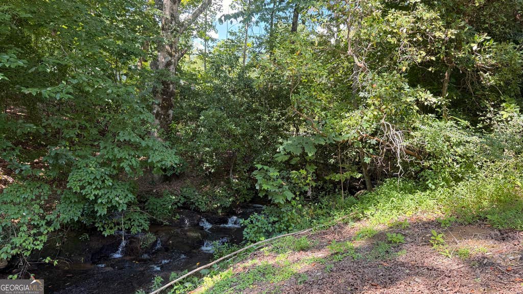 Photo of 0 Fodder Creek Road, Hiawassee, GA 30546 (MLS # 10827483)