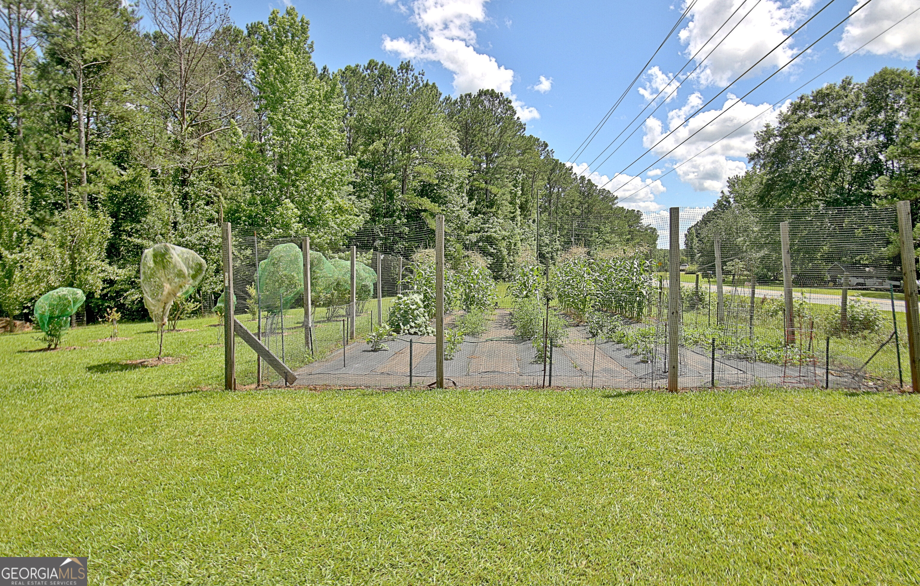 460 Morgan Mill RD