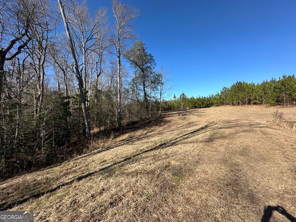 Photo of 0 Griffin Landing Road, girard, GA 30426 (MLS # 10675288)