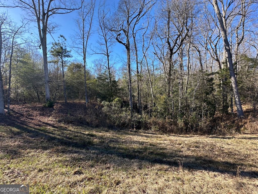 Photo of 0 Griffin Landing Road, girard, GA 30426 (MLS # 10675288)
