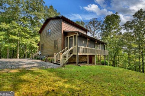 A home in Mineral Bluff