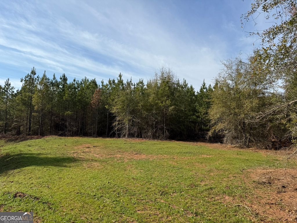 Photo of 3 GA Highway 45, Plains, GA 31780 (MLS # 10721272)