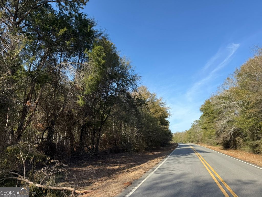 Photo of 3 GA Highway 45, Plains, GA 31780 (MLS # 10721272)