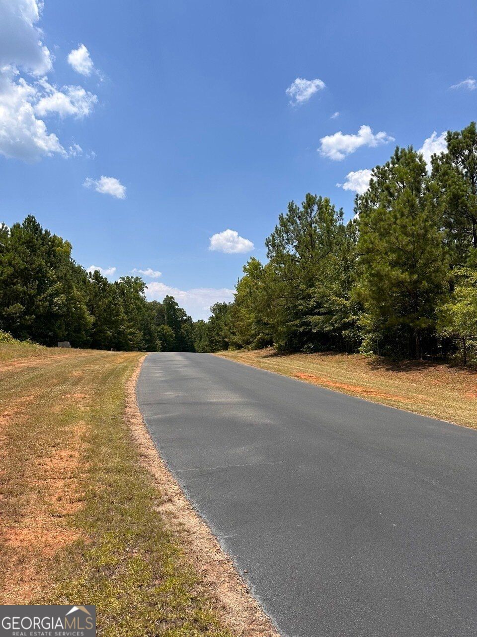 Photo of 16 South Point Drive, Tignall, GA 30668 (MLS # 10853789)