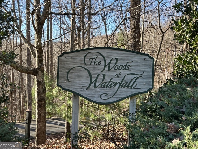 162 Forest Canopy WAY