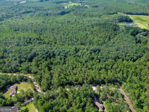 Photo of 0 Davis Court, Hinesville, GA 31313 (MLS # 10807647)
