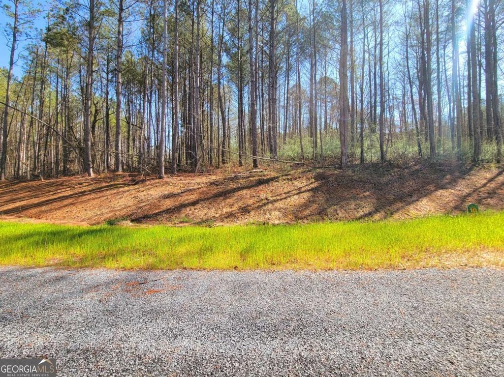 Photo of 68 Mountaingate Way, Ellijay, GA 30536 (MLS # 10738860)