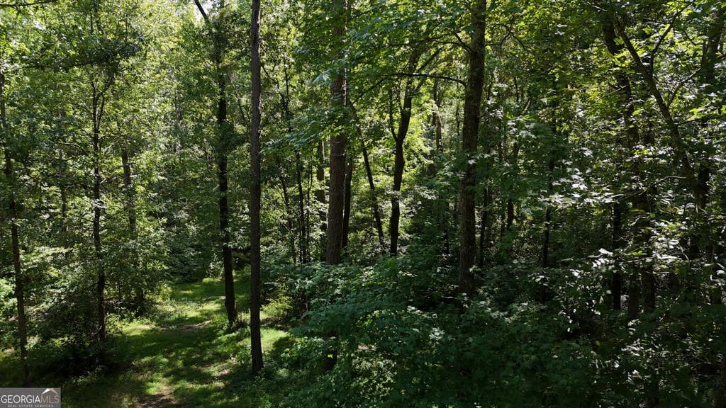 Photo of 115101 Shoal Creek Dr, Sharpsburg, GA 30277 (MLS # 10809088)