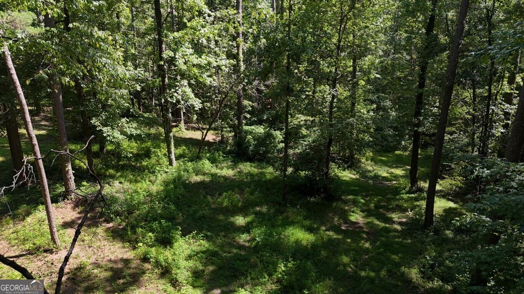 Photo of 115101 Shoal Creek Dr, Sharpsburg, GA 30277 (MLS # 10809088)