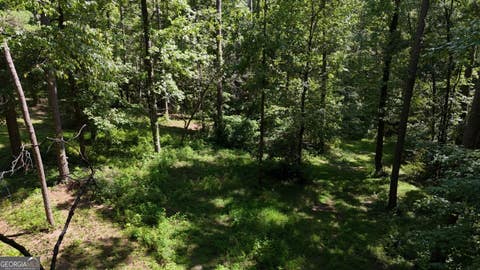 Photo of 115101 Shoal Creek Dr, Sharpsburg, GA 30277 (MLS # 10809088)
